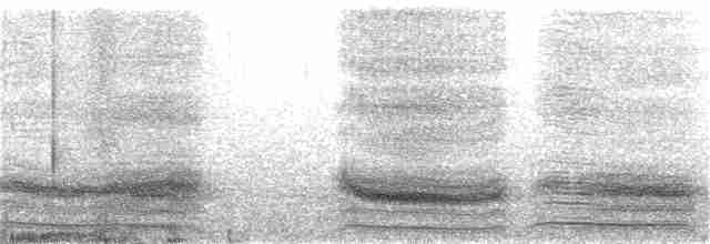 Андский скальный петушок - ML361136151
