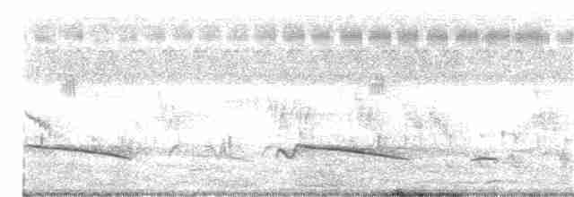 Gray-bellied Cuckoo - ML361136711