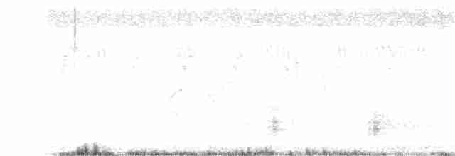 Clamorous Reed Warbler - ML361153341