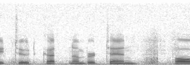 Turuncu Gagalı Bülbül Ardıcı [aurantiirostris grubu] - ML3612