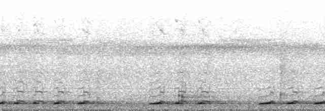 Cava Kahverengi Kafalı Barbeti - ML36125