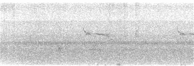 Otlak Çıtkuşu (alticola) - ML361280511