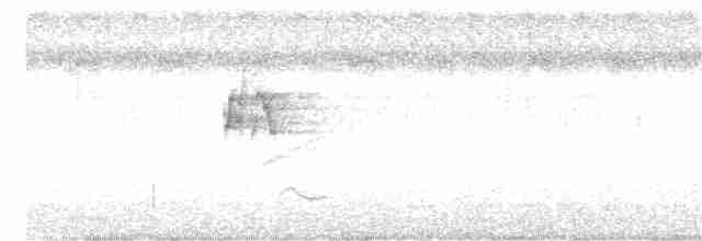 Серый тиранн - ML361301731