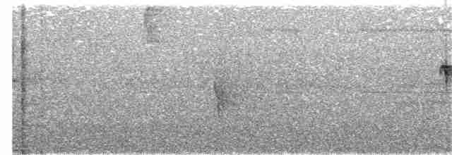 Damalı Karıncakuşu - ML36132151