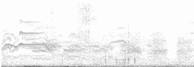 Common Tern - ML361326061