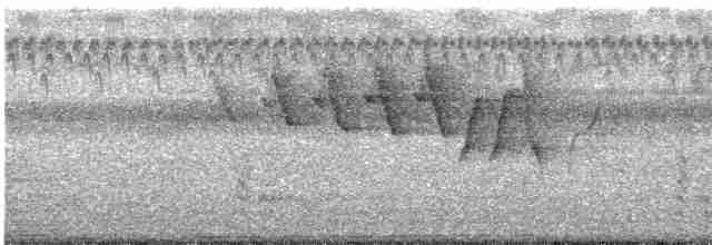 Common Yellowthroat - ML361327631