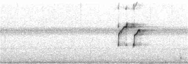 Улит-отшельник (solitaria) - ML361361961