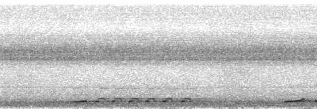 Cava Kahverengi Kafalı Barbeti - ML36139