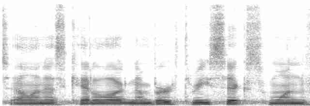 Turuncu Gagalı Bülbül Ardıcı [aurantiirostris grubu] - ML3614
