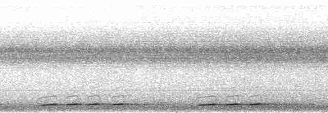 Бородастик буроголовий - ML36140
