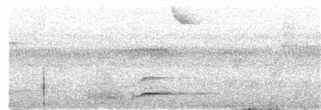 White-throated Toucan - ML361401731
