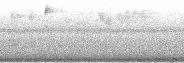 Cava Kahverengi Kafalı Barbeti - ML36143