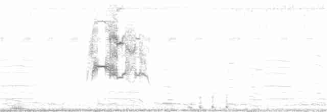 Common Gallinule - ML361542401
