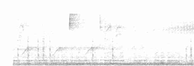Vireo Ojiblanco - ML361550211