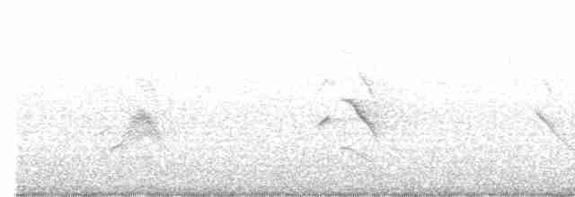 Rose-ringed Parakeet - ML361594981