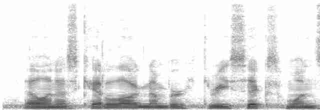 Turuncu Gagalı Bülbül Ardıcı [melpomene grubu] - ML3616