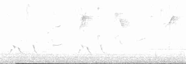 Streifenpanthervogel - ML361623511