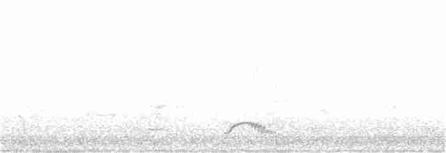 Marouette fuligineuse - ML361623691
