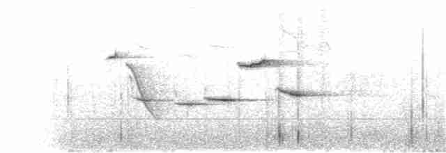 Papamoscas de Tickell - ML361624281