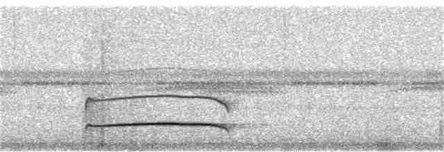 Тиран-плоскодзьоб рудохвостий - ML361689721