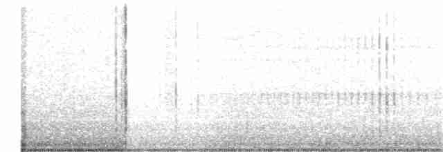 Dark-bellied Cinclodes - ML361692821