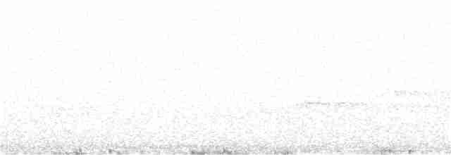 シロエリアマツバメ - ML361703561