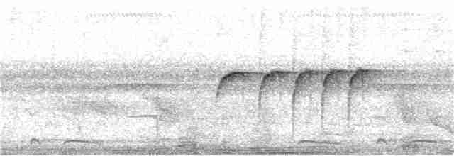 Тиран-карлик амазонійський - ML361709411