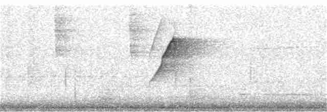 brunbukmeiskryper (genibarbis gr.) - ML361709891