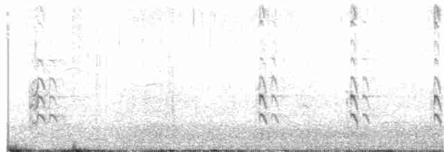 Перепончатопалый улит (semipalmata) - ML361711011