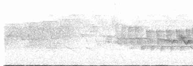 Cerulean Warbler - ML361712261