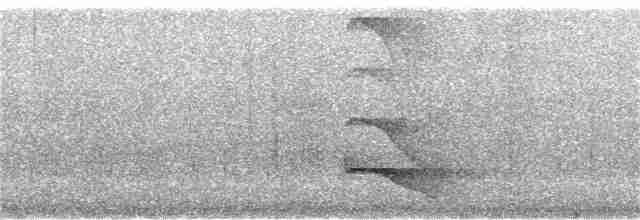 Buff-throated Woodcreeper (Dusky-billed) - ML361712681
