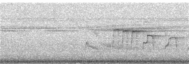 Лінивка-строкатка маскова - ML361713331