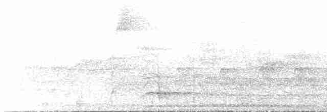 Тиранчик-мухолюб сіроголовий - ML361744881