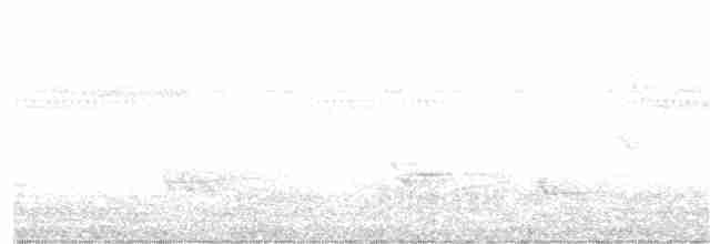 Гусеницеїд рудий - ML361776651