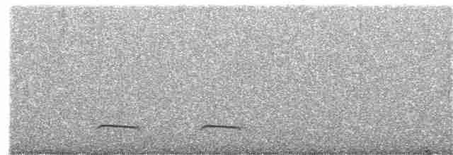Weißflecken-Ameisenpitta - ML361796861