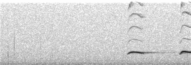 Al Beyaz Yerçavuşu - ML361811691