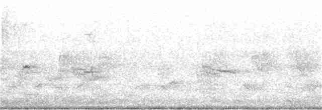 Мангровая белоглазка - ML361814051
