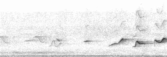 Gray Whistler (Brown) - ML361814131