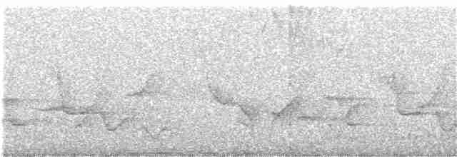 Инкский крапивник - ML361832451
