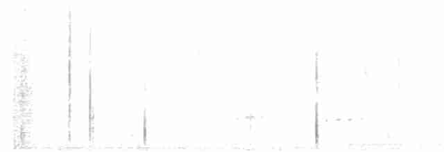 Tinamou à pieds rouges - ML361851071