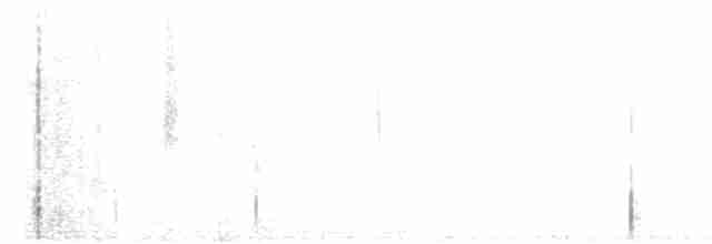 Red-legged Tinamou - ML361851291