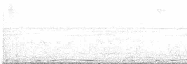 holub neotropický - ML361885631