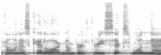 Turuncu Gagalı Bülbül Ardıcı [aurantiirostris grubu] - ML3619