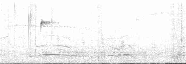 Дроздовый крапивник - ML361901561