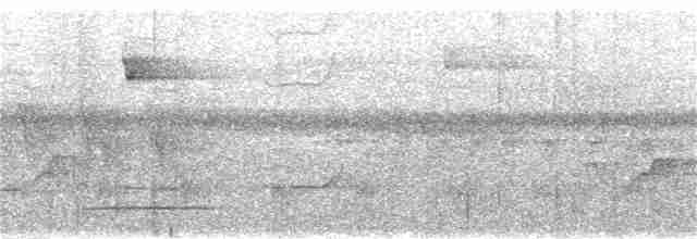 svartkronebrednebb - ML361911531