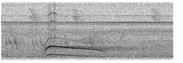 Канюк плямистогрудий - ML361913401