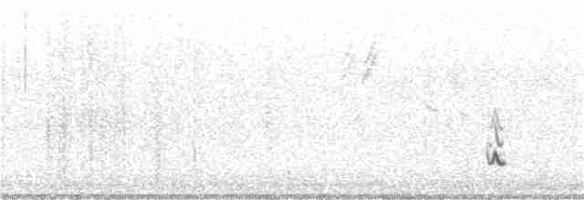 Beifuß-Spottdrossel - ML361919021
