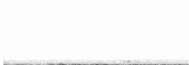 Lagopède à queue blanche - ML361922341