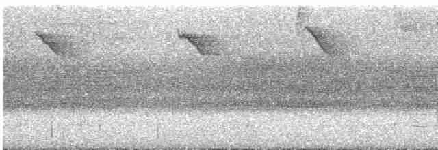 Black-cheeked Woodpecker - ML361970001