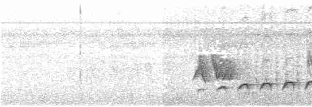 Fleckenbrust-Ameisenvogel - ML361981491